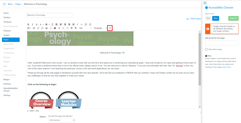 One More Canvas Tool to Make Your Life Easier: Accessibility Checker ...