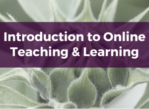 Course Image: Introduction to Online Teaching & Learning
