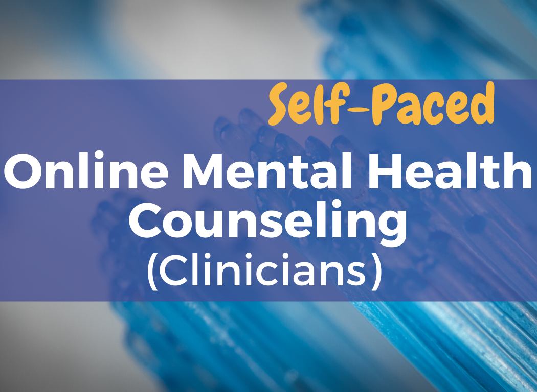 Self-Paced Online Mental Health Counseling (Clinicians)