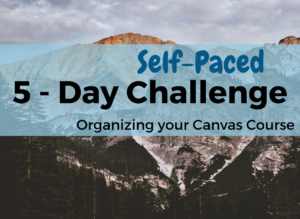 5 Day challenge: Organizing your canvas course