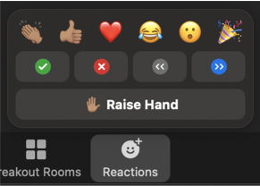 Zoom interface showing Reactions including applause, thumbs up, heart, laughing face, surprised face, celebration, green check, red x, slow down, go faster, and raise hand.